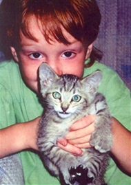 Pixie Bob Kitten Pixie Bob Kitten